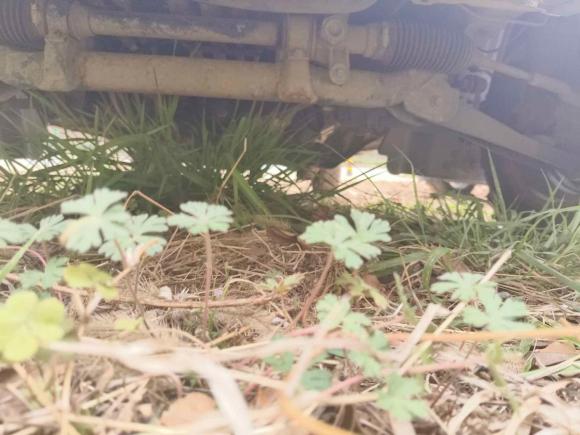 [武汉·鄂A] 二手金杯新海狮X30L2016款 1.3L财富版DLCG12