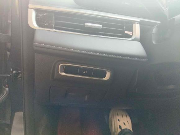 [嘉兴·浙F] 二手奇瑞瑞虎8 PLUS2024款 冠军版 290TGDI DCT豪悦版 5座