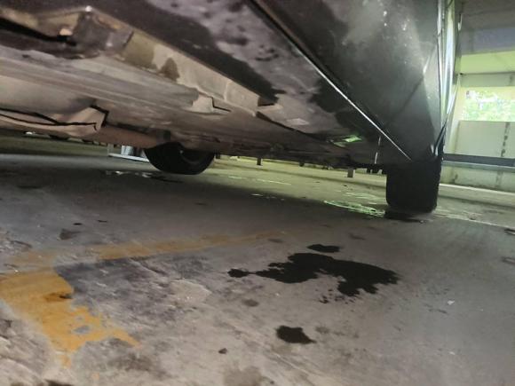 [嘉兴·浙F] 二手福特翼虎2013款 2.0L GTDi 四驱尊贵型