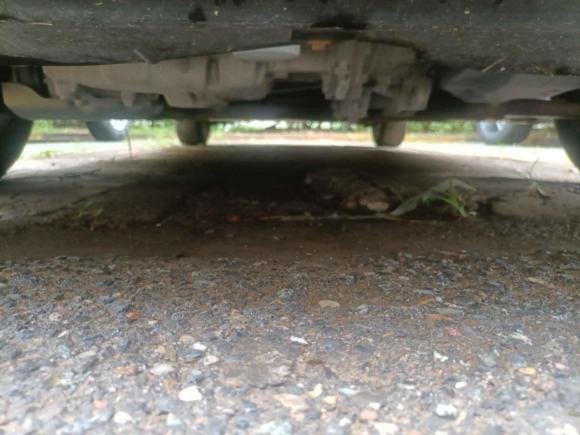 [北京·冀F] 二手福特福克斯2012款 两厢经典 1.8L 自动时尚型