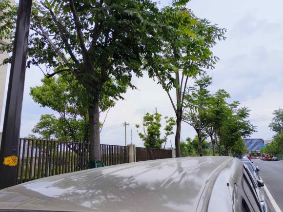 [南京·苏A] 二手金杯金杯快运2018款 2.0L标准型V19