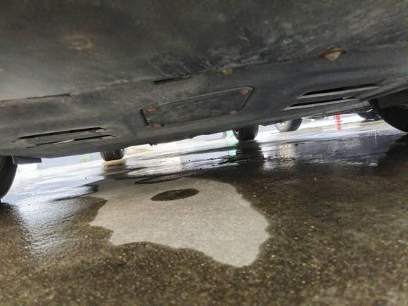 [上海·皖H] 二手福特福克斯2012款 三厢 1.6L 手动风尚型