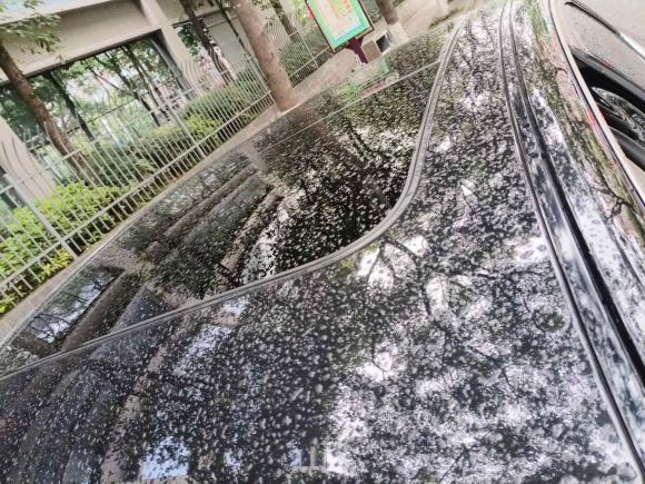 [成都·川A] 二手奥迪奥迪A82013款 A8L 30 FSI 舒适型