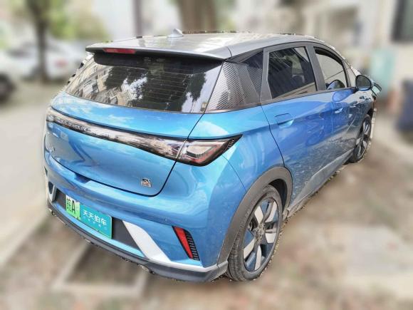 [合肥·皖A] 二手比亚迪海豚2021款 401km 骑士版