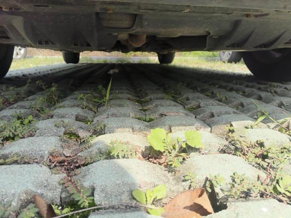 [宁波·浙B] 二手本田雅阁2012款 2.0L SE