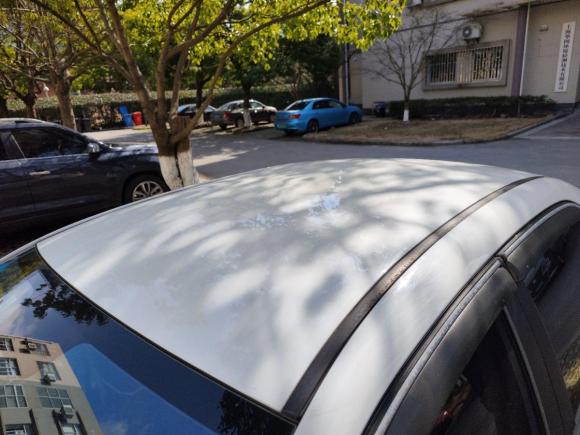 [上海·沪C] 二手比亚迪秦2019款 1.5L 自动豪华型