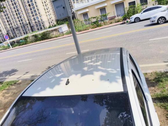 [青岛·鲁P] 二手铃木奥拓2013款 1.0L 手动豪华型