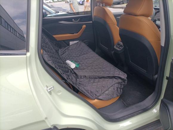 [上海·沪A] 二手威马汽车威马W62021款 520km ACE极智版