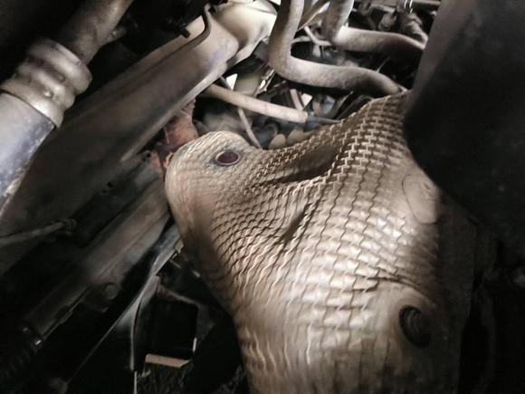 [无锡·苏B] 二手起亚起亚K52011款 2.0L 自动DLX