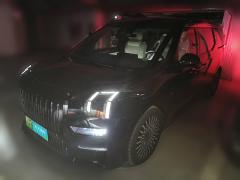 [上海·沪A] 极氪极氪0092022款 WE版