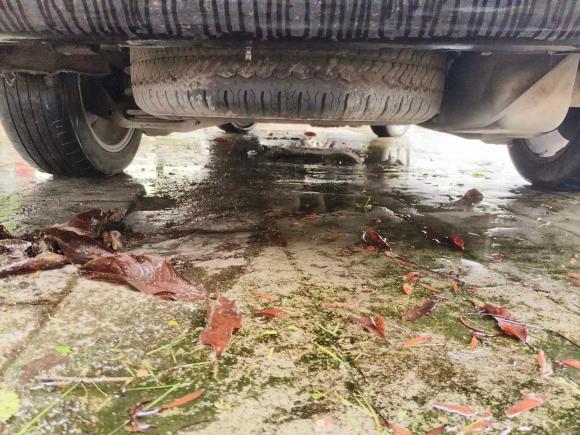 [温州·浙C] 二手奔驰唯雅诺2010款 2.5L 尊贵版