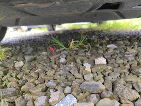 [上海·沪C] 二手大众朗逸2022款 280TSI DSG舒适版