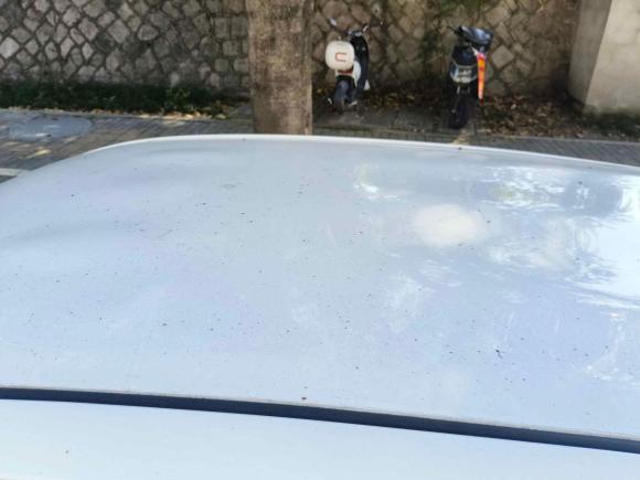 [温州·浙C] 二手丰田YARiS L 致炫2015款 1.5E 自动魅动版