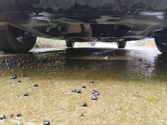 [义乌·陕F] 二手荣威荣威i62019款 PLUS 1.6L 手动4G互联豪华大赞版