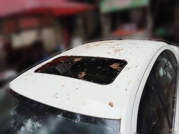 [西安·陕A] 二手大众朗逸2015款 1.6L 手动舒适版