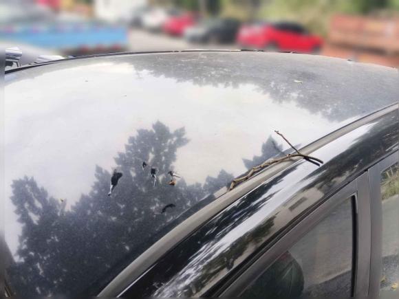 [无锡·苏B] 二手丰田逸致2011款 180E CVT精英版