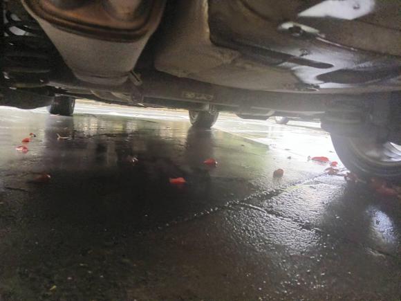 [杭州·浙F] 二手标致标致30082016款 1.6THP 自动经典版