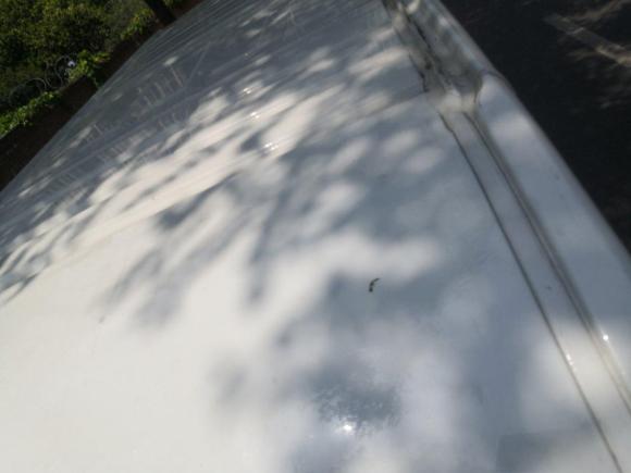 [合肥·豫Q] 二手上汽大通MAXUS上汽大通MAXUS V802021款 2.0T 手动经典傲运通长轴中顶6/7/8/9座