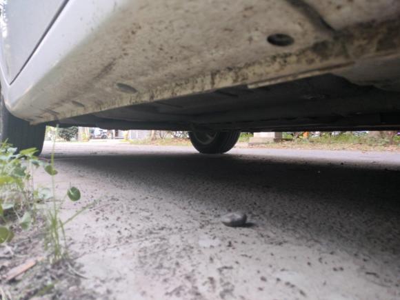 [苏州·苏E] 二手荣威荣威3502015款 1.5L 手动豪华天窗版