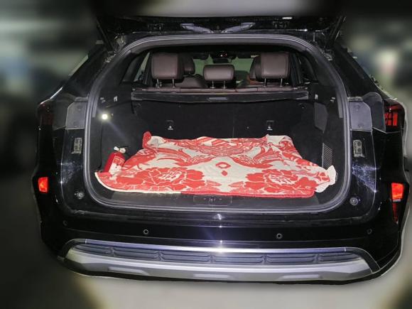 [上海·沪C] 二手魏牌魏牌 摩卡2021款 2.0T 两驱特醇版