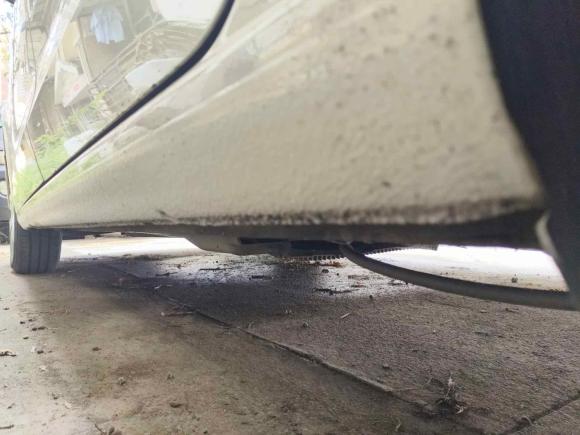 [成都·川A] 二手大众捷达2017款 1.4L 手动时尚型