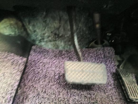 [青岛·鲁B] 二手本田凌派2013款 1.8L 自动豪华版