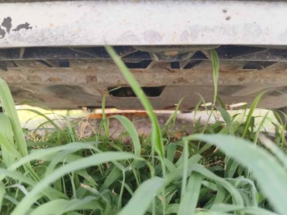 [北京·吉A] 二手大众捷达2016款 1.6L 25周年纪念版