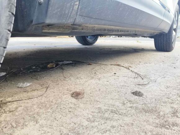 [广州·鄂D] 二手大众探岳2022款 330TSI 两驱豪华智联版