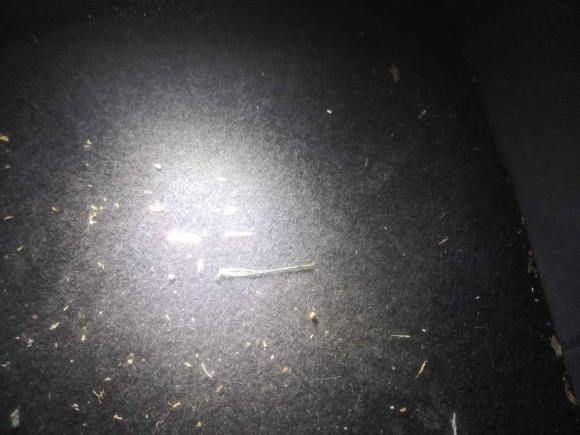 [南京·苏A] 二手五菱汽车宏光MINIEV2021款 马卡龙夹心款 170km 磷酸铁锂