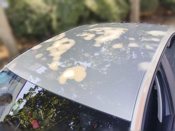 [合肥·皖A] 二手大众朗逸2019款 1.5L 自动风尚版 国VI