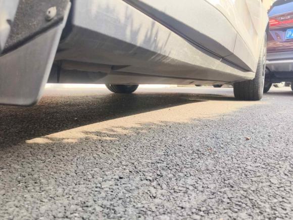 [上海·沪A] 二手Polestar极星Polestar 22020款 长续航双电机版