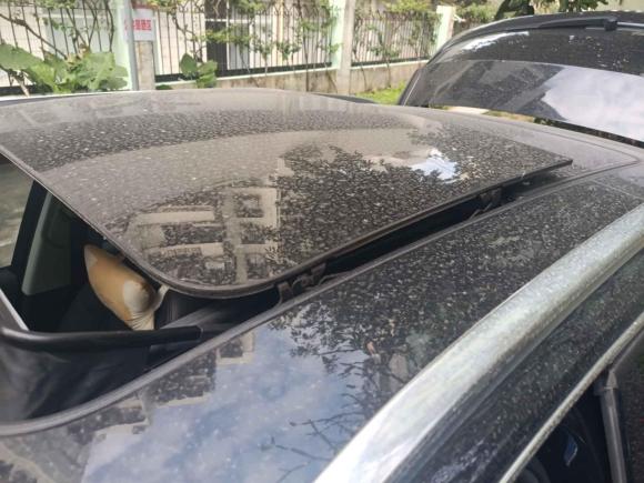 [深圳·粤A] 二手奥迪奥迪Q52015款 40 TFSI 技术型