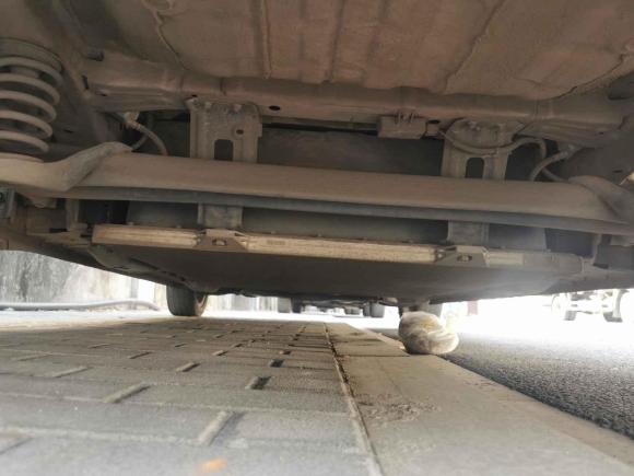 [金华·浙G] 二手欧拉欧拉白猫2020款 401km 旗舰型