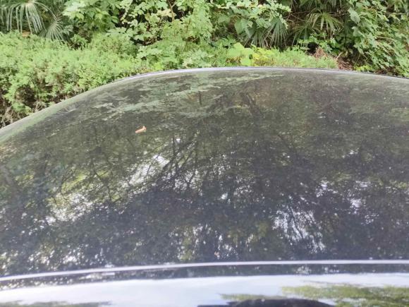 [南京·苏A] 二手雪佛兰科鲁泽2022款 320 自动悦享版