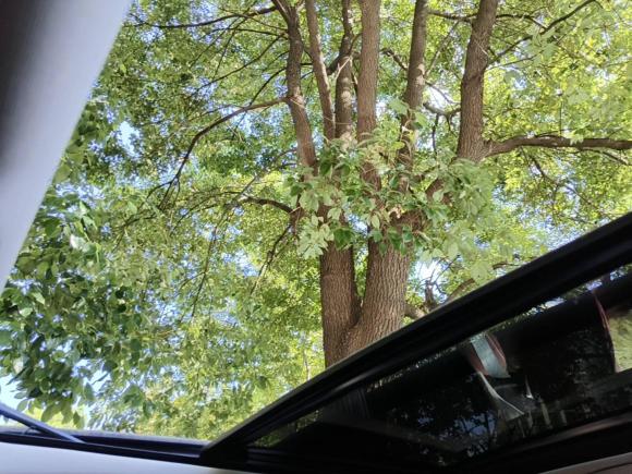 [苏州·苏E] 二手宝马宝马i32022款 eDrive 35 L