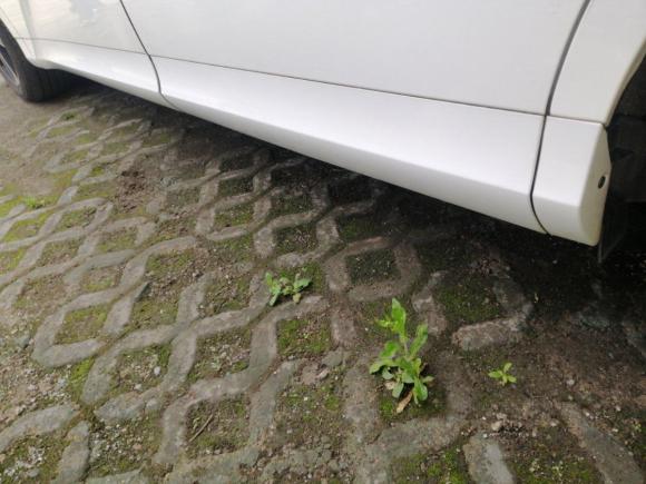 [上海·沪C] 二手本田奥德赛2015款 改款 2.4L 豪华版