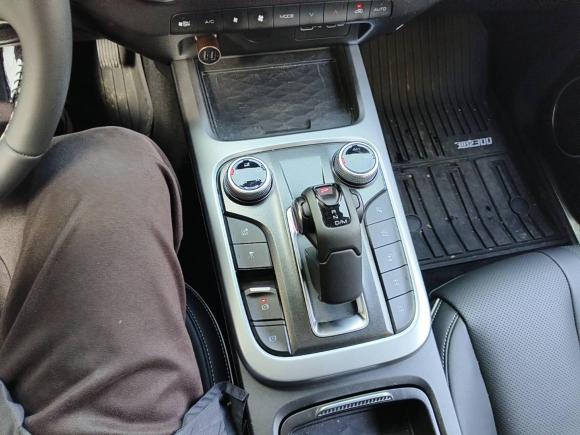 [杭州·浙A] 二手坦克坦克3002023款 2.0T 铁骑02