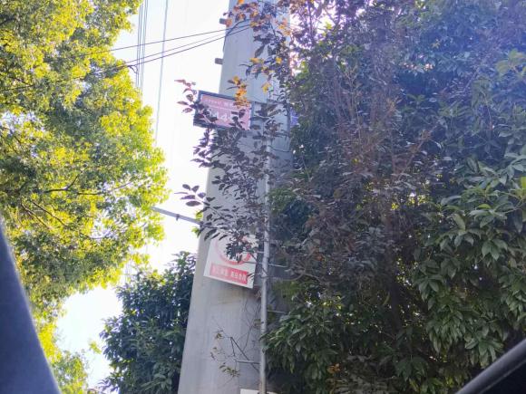 [上海·沪C] 二手丰田雷凌2019款 双擎 1.8H E-CVT豪华版 国VI