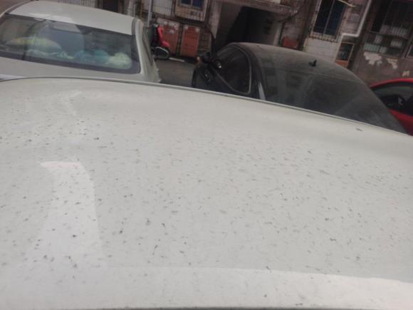 [南昌·赣A] 二手丰田威驰FS2017款 1.5L CVT锋驰版