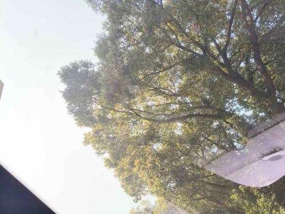 [上海·沪A] 二手ARCFOX极狐极狐 阿尔法S(ARCFOX αS)2022款 525S 160kW