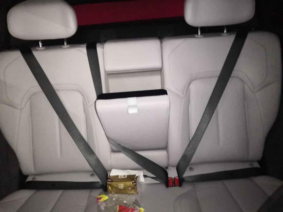 [合肥·皖A] 二手高合汽车高合HiPhi Y2023款 560km 精英版