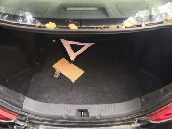 [武汉·鄂A] 二手比亚迪比亚迪e52016款 300 豪华型