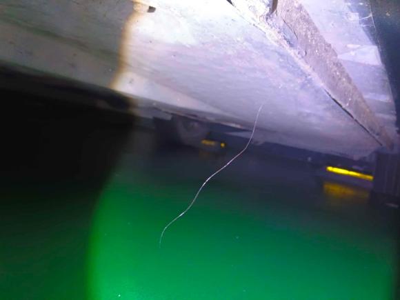 [武汉·鄂A] 二手斯柯达Yeti2014款 1.4TSI DSG极地版