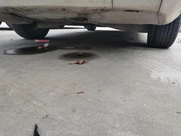 [温州·浙C] 二手斯柯达明锐2010款 1.4TSI GreenLine