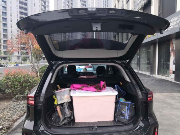 [温州·浙C] 二手星途星途凌云2021款 290T 两驱星耀版