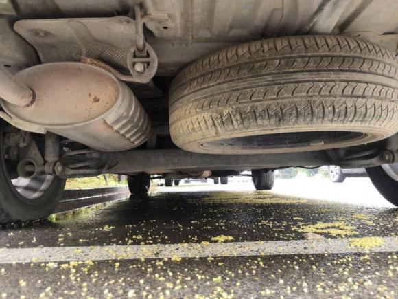 [湖州·浙E] 二手北汽威旺北汽威旺M50F2017款 1.5L 标准型