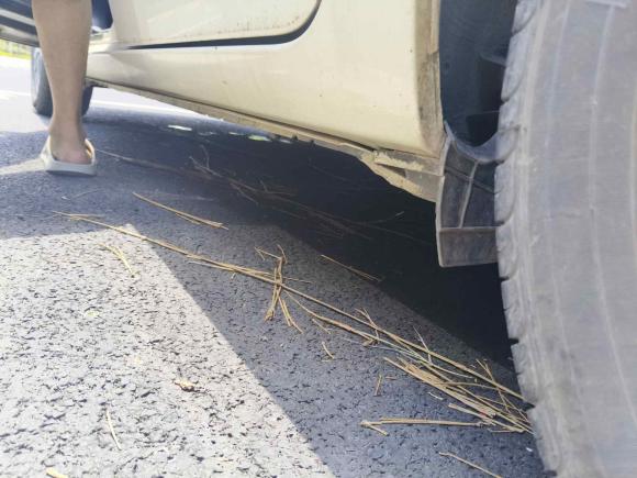 [嘉兴·浙F] 二手丰田雷凌2014款 1.6G CVT精英版