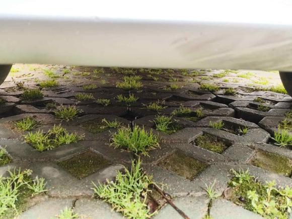 [南京·苏A] 二手长安凯程长安睿行S502017款 S50V 1.5L 手动物流版I 国V