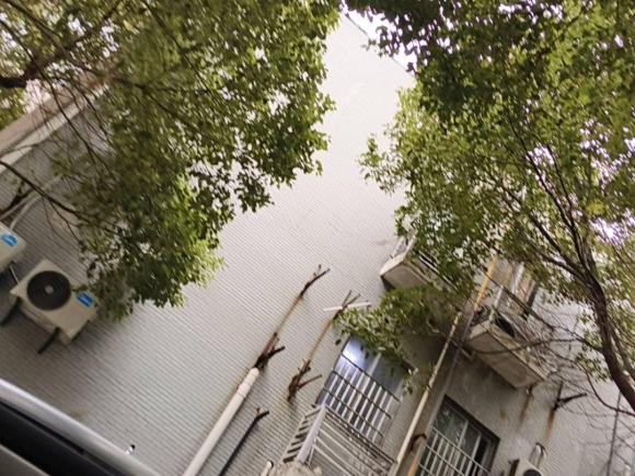 [上海·沪A] 二手荣威荣威RX5新能源2017款 eRX5 50T 混动互联尊荣旗舰版