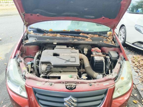 [南京·苏A] 二手铃木天语 SX42011款 两厢 1.6L 自动灵动型